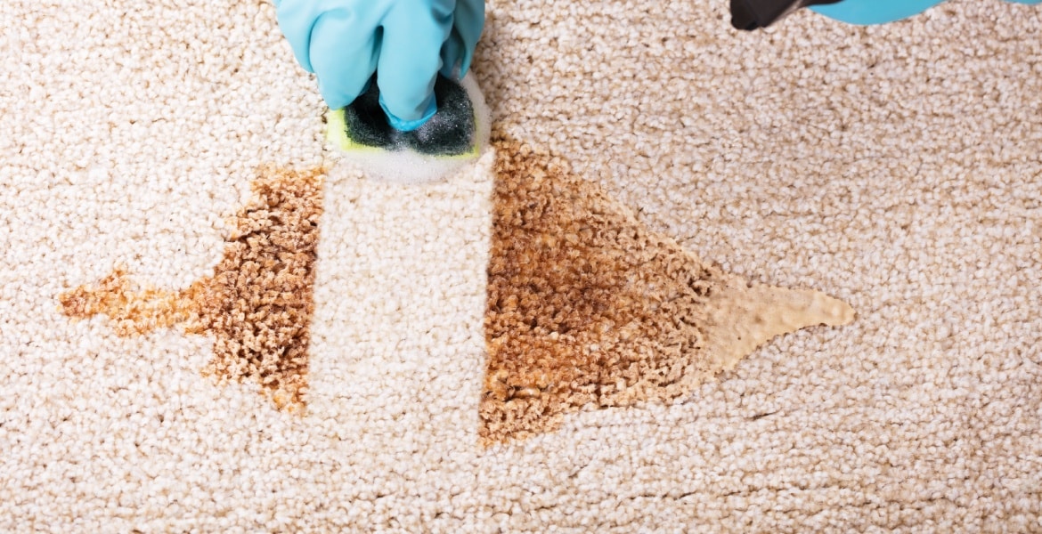 Mullers Cleaning